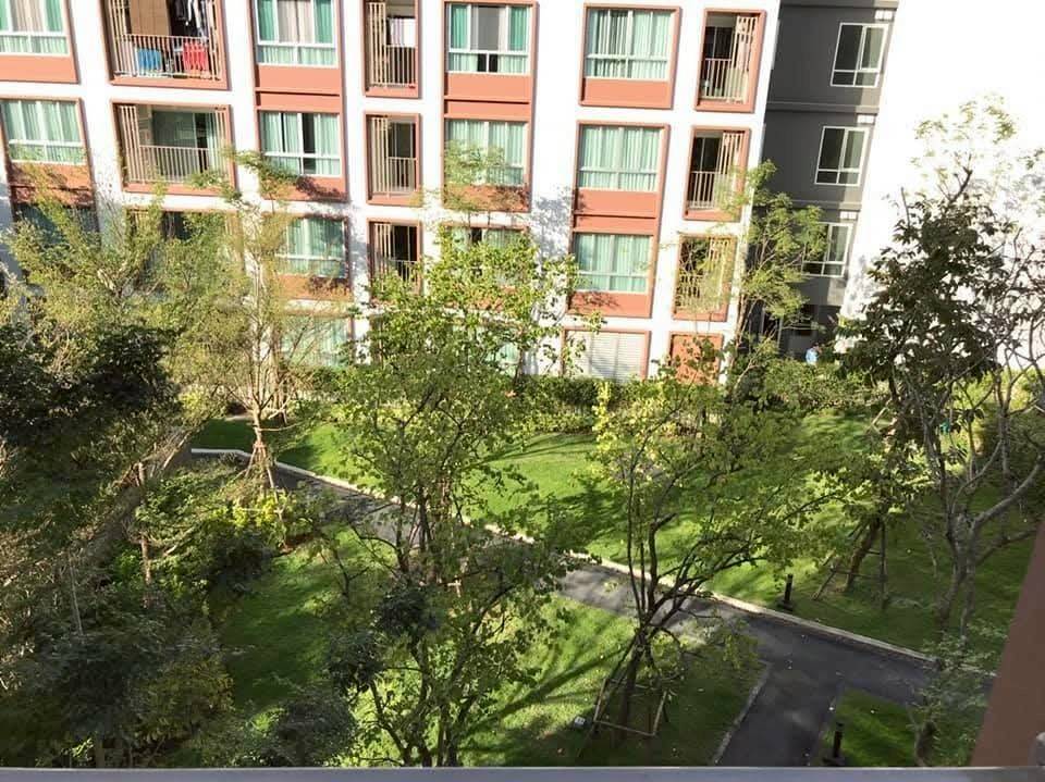 Peaceful Environment