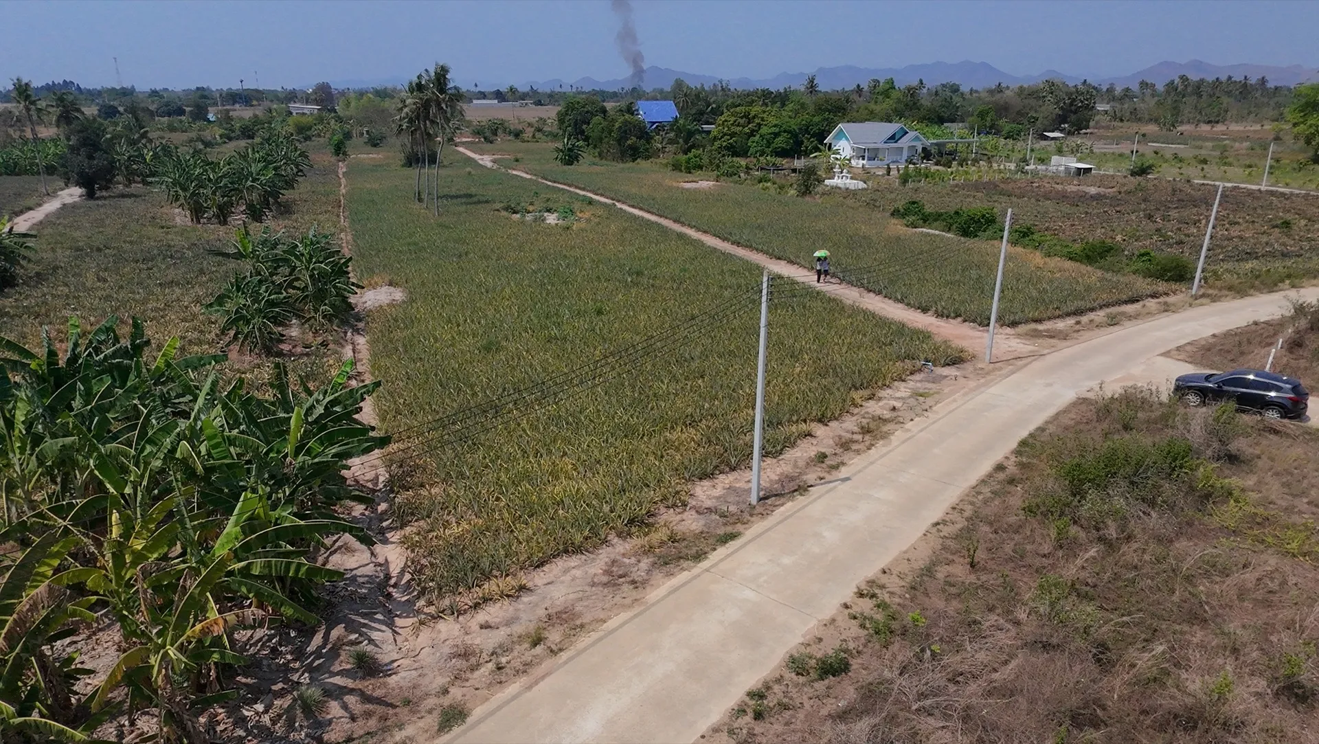 Clear property boundary lines according to Chanote title deed