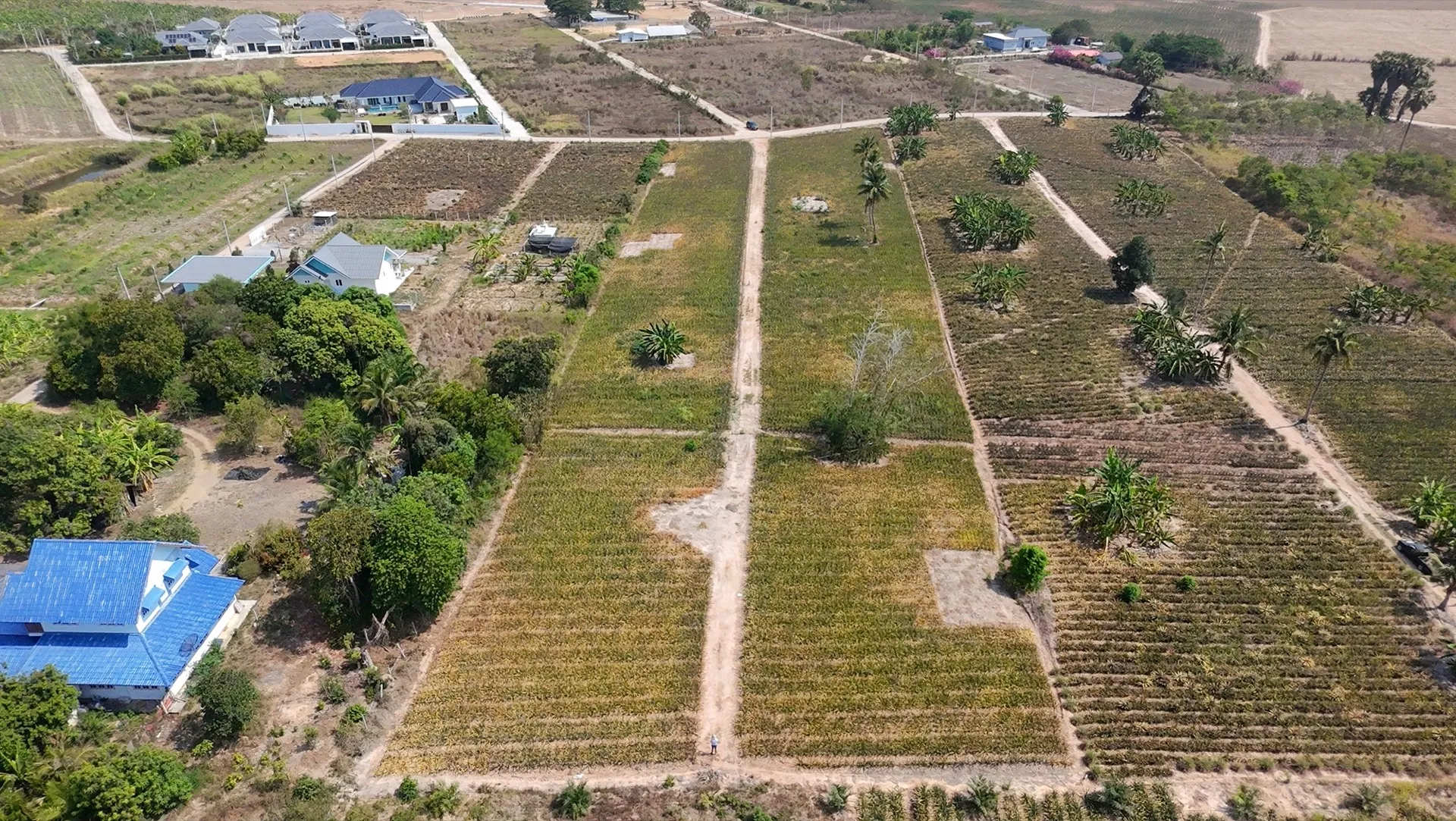 Flat land ready for immediate resort or housing development